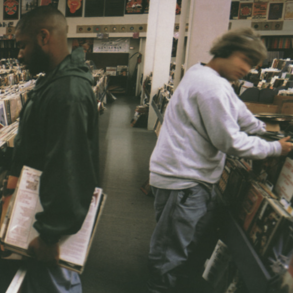 Endtroducing.....