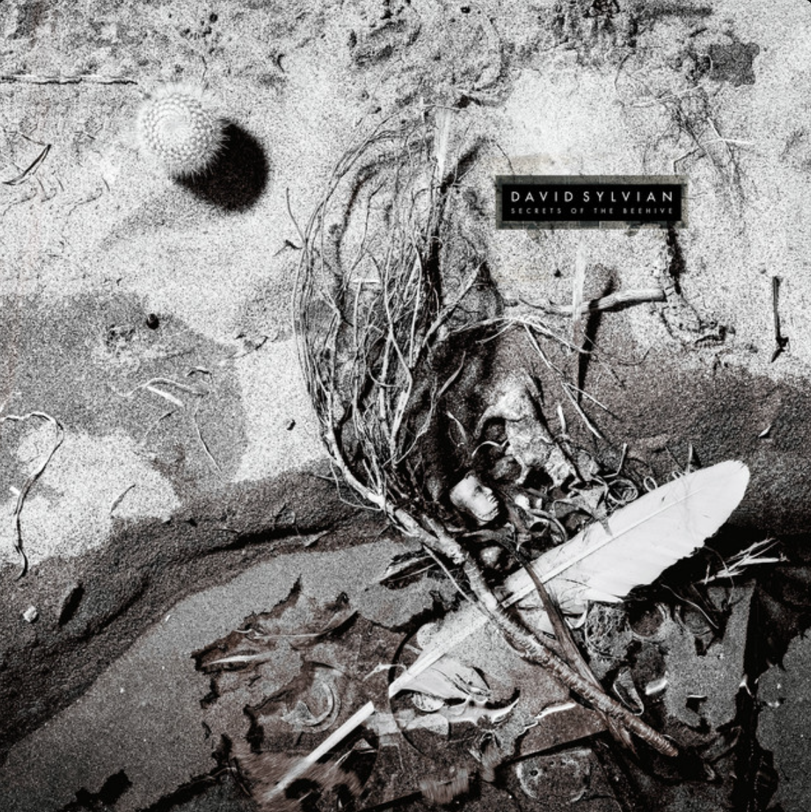 Secrets of a Beehive