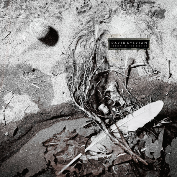 Secrets of a Beehive