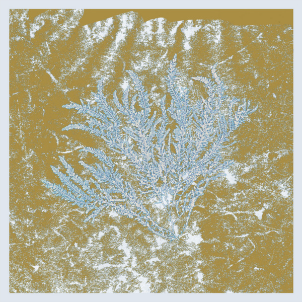 For Those of You Who Have Never (and Also Those Who Have)